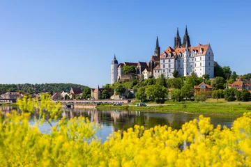 Meißen an der Elbe mit Burgberg, Dom und Albrechtsburg im Sommer © Daniel Bahrmann