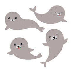 cute cartoon seal set