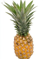 Obraz premium Isolated close up of a ripe pineapple against a white background studio shot of tropical fruit with spiky leaves