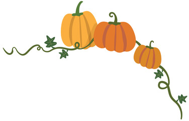 vector illustration of pumpkins