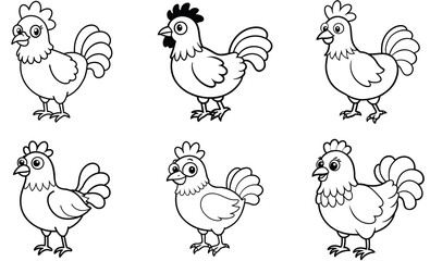 set of chicken