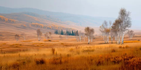Acrylglasbilder Birkenwald Autumn golden meadow with birch grove and rolling hills  © agrus_aiart