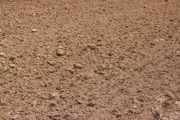 Plowed land in a garden plot