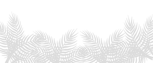 Black and white feathers on a textured background evoke a unique, seamless pattern, isolated on transparent or white background png