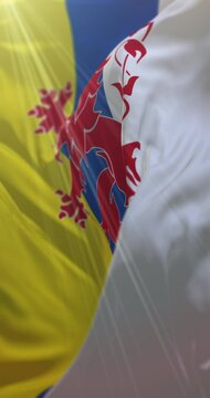 Limburg Flag, Netherlands. Loop. 4K Vertical