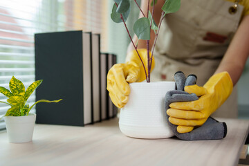Housekeeper cleaning white flower pot with yellow gloves and gray cloth