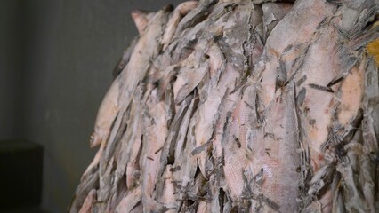 Frozen fish blocks gliding smoothly along industrial conveyor belt inside modern food processing facility, showcasing automated seafood preservation techniques