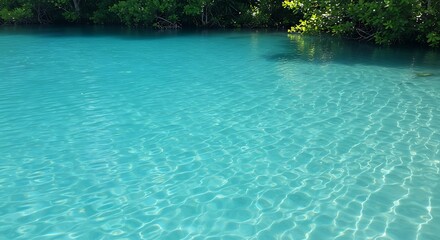 Emerald Depths, Sunlit Surface