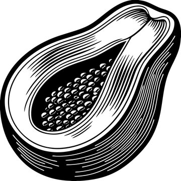 black and white papaya fruit cut clip art preview