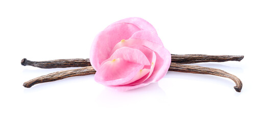 Rose petals with vanilla beans in closeup