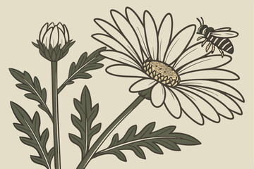 131 photorealistic, high quality, macro, vibrant, striking, detailed, sharp focus, whimsical, stylized, intricate, layered, balanced, floral, flowers, petals, leaves, botanical, daisy, honeybee, insec