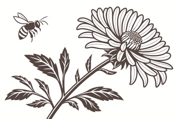 131 photorealistic, high quality, macro, vibrant, striking, detailed, sharp focus, whimsical, stylized, intricate, layered, balanced, floral, flowers, petals, leaves, botanical, daisy, honeybee, insec