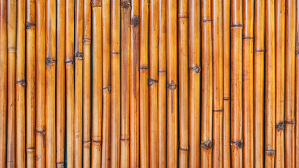 Panoramic background bamboo texture with natural patterns