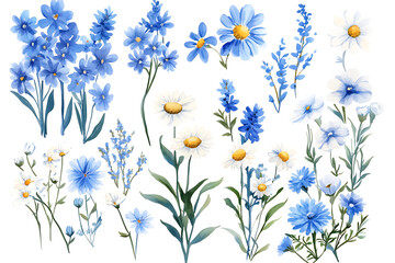 Watercolor collection of delicate blue and white flowers with soft yellow centers