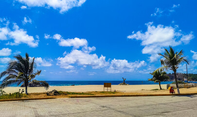 Sun beach sand surfer waves palms in Puerto Escondido Mexico.