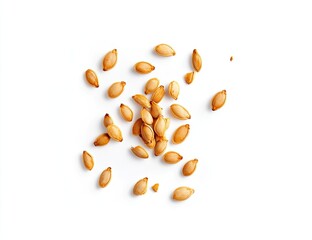 Scattered pumpkin seeds on a white background.  Small, light brown seeds are dispersed in a loose cluster.  Each seed is roughly oval-shaped with visible ridges and a slightly rough texture