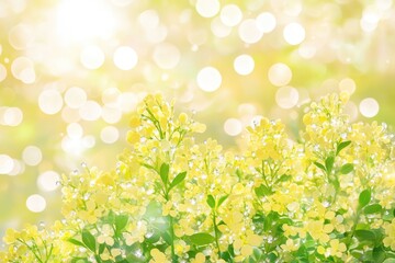 Yellow flowers in sunlight