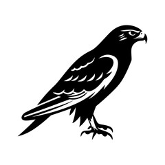 Obraz premium Flying Falcon Silhouette Illustration