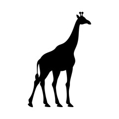 Giraffe Animal Silhouette Design