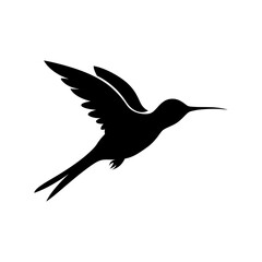 Obraz premium Hummingbird Bird Silhouette Graphic
