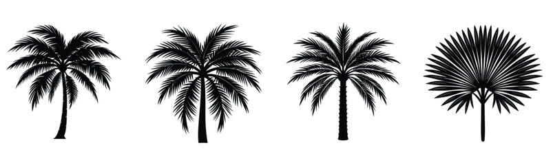 Fototapeta premium palm trees silhouette