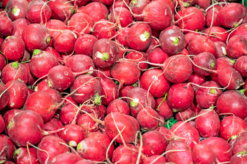 red ripe radish in a container in the supermarket