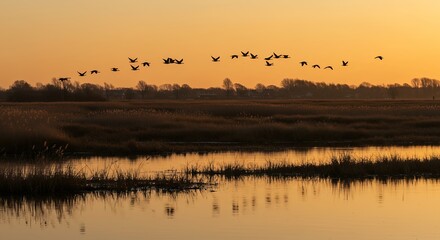 Birds Flying Over Wetland Sunset