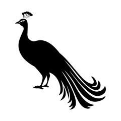 Fototapeta premium Peacock Silhouette Clipart Vector