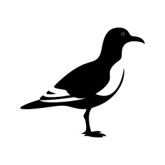 Fototapeta premium Seagull Bird Silhouette Art