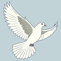 white dove flying