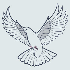 dove of peace