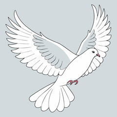dove of peace