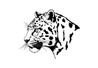Jaguar Head Drawing: Black & White Illustration