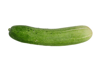 fresh green cucumber isolated on white background.