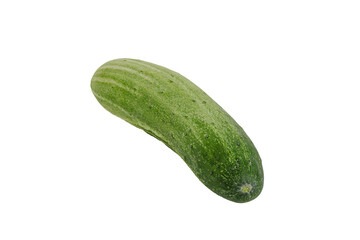 fresh green cucumber isolated on white background.