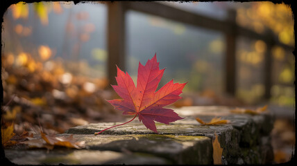 Blurred autumn season abstract nature background with light and a subtle vignette border