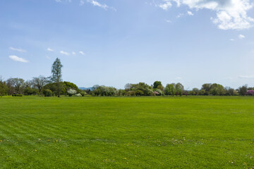 minimal green meadow with rich green fresh manicured lawn. clear blue sky background. peaceful clean landscape with negative space for