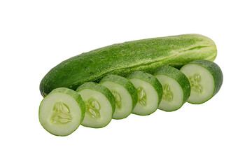 fresh green cucumber and slices on white background.