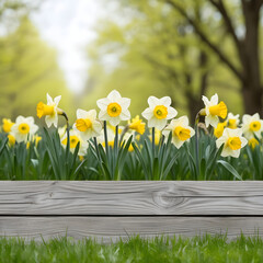 Fototapeta premium A springtime meadow scene