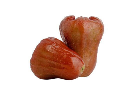 Wax Apples isolated on white background.
