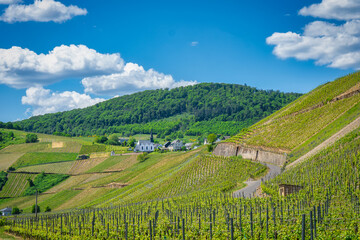 Weinberge bei Osann-Monzel
