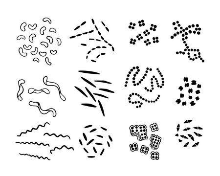 Vector isolated illustration of a set of bacteria types: vibrios and spirilla. Coccus and rod-shaped bacteria.