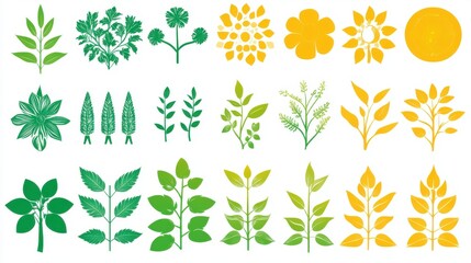 Vibrant Green Yellow Botanical Illustrations Nature Plant Leaves Flowers set herbs style fresh flora