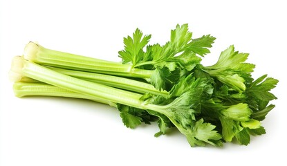 Fresh Green Celery Stalks with Vibrant Leaves for Healthy Cooking and Nutritional Dishes