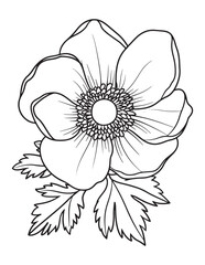 Detailed Botanical Anemone Flower Illustration for Coloring Pages
