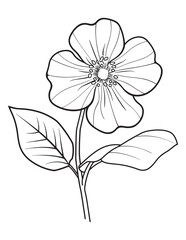 Simple Five-Petal Flower with Leaf Line Art for Coloring