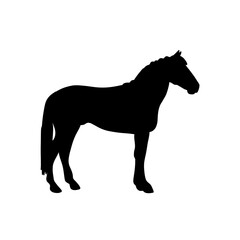 Horse silhouette illustration