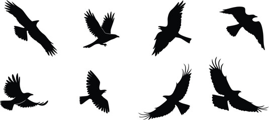 Birds Set Design for Digital Art and Illustrations. Colorful Birds Set Design for Creative Projects. Hand Drawn Birds Set Design for Designers. Modern Birds Set Design for Art and Craft