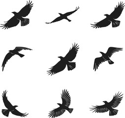 Birds Set Design for Digital Art and Illustrations. Colorful Birds Set Design for Creative Projects. Hand Drawn Birds Set Design for Designers. Modern Birds Set Design for Art and Craft