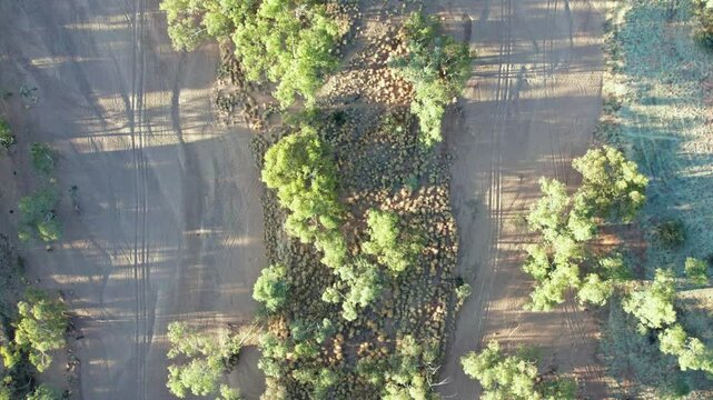 Vertical aerial footage of the dry Todd River, including trees, buffle grass, in Alice Springs, Mparntwe, Northern Territory, Australia. August 2022.